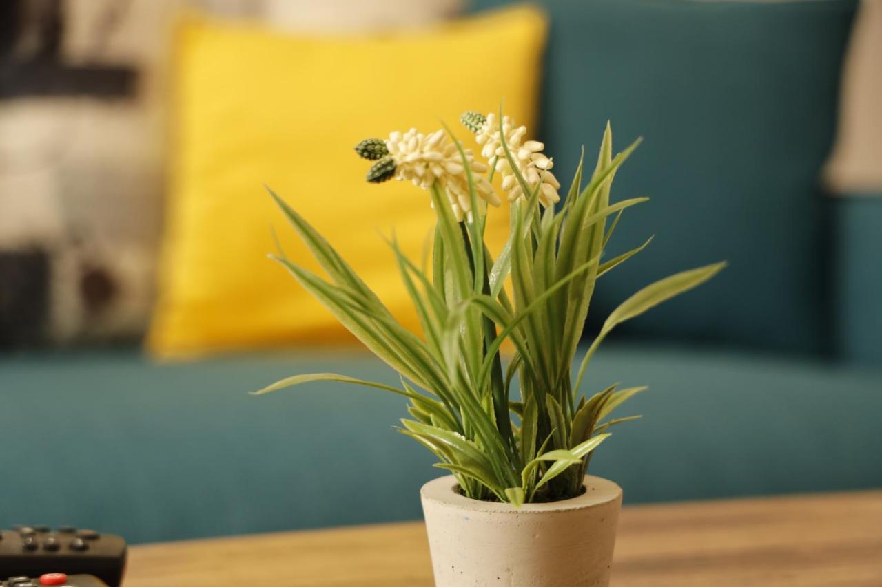 Apartments Harmony Žabljak Екстериор снимка